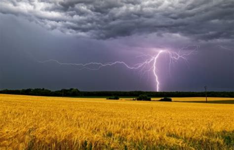 what is the odds of getting struck by lightning|Frequently Asked Questions (FAQs) About Lightning .